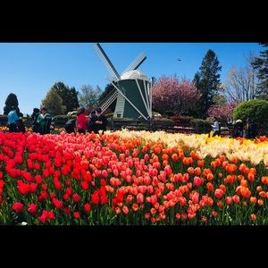 Meet your Posher, Elizabeth